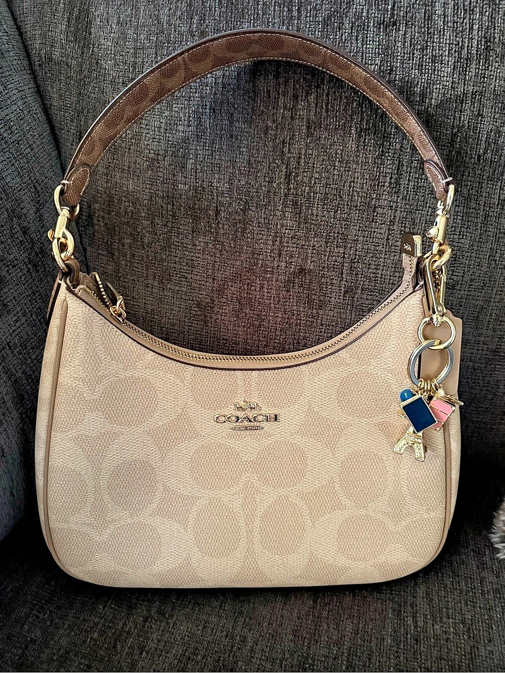 Coach Teri Hobo Bag in block signature canvas NWOT